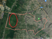 TP.HCM: Kiến nghị chuyển 384,2ha đất cây xanh tại Xuân Thới Thượng sang đất đô thị