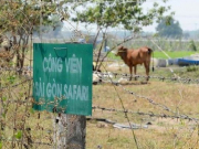 TP Hồ Chí Minh: Phê bình 3 lãnh đạo chậm thực hiện kết luận thanh tra dự án Sài Gòn Safari