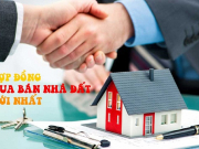 Những điều cần biết về Hợp đồng mua bán nhà đất