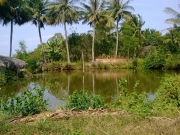 Hỏi về bồi thường thu hồi đất khi giấy chứng nhận đã hết hạn