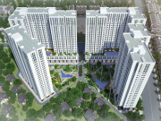 Dự án căn hộ Hoa Lâm Bình Tân