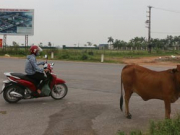 Hà Nội sau 10 năm mở rộng: Còn đó những nỗi lo