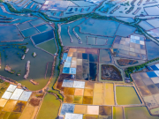 Việt Nam đẩy mạnh thực hiện những dự án lớn