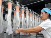 FDI toàn cầu có thể giảm một nửa trong hai năm tới