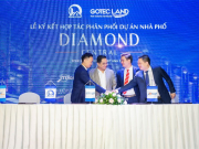 Dự án Diamond Central được chính thức giao các đơn vị phân phối