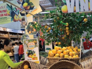 Đại gia Thái Lan Central Retail đẩy mạnh mở rộng thị trường tại Việt Nam