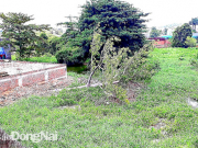 Cần xây hồ điều hòa cho phía Đông Bắc TP.Biên Hòa