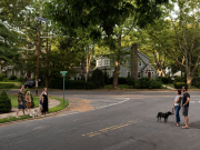 Dân New York khao khát “bỏ phố về rừng”