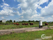 Những hình ảnh “kém sang” ở thành phố Thủ Đức tương lai