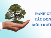 Thẩm định hồ sơ đánh giá tác động môi trường trực tuyến