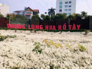 Sai phạm đất đai tràn lan ở 'Thung lũng hoa Hồ Tây'