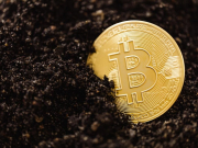 3 cách an toàn để đầu tư Bitcoin