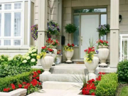 Vị trí đặt cây cảnh trong nhà hút tài lộc, may mắn