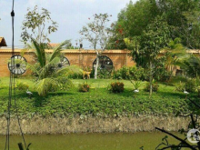 Cần bán khu nhà vườn nghỉ dưỡng Nguyễn Vă Tạo, Nhà Bè, 5000m2, 31 tỷ