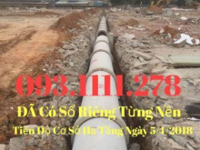 Dự Án Phú Hồng Thinh 8 Khu dân Cư sầm uất