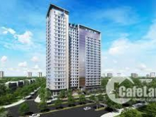 CHỦ ĐẦU TƯ MỞ BÁN CĂN HỘ CAO CẤP SƠN TRÀ OCEAN VIEW