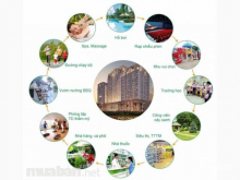 Cho thuê căn hộ chung cư view đẹp  11 – 20 triệu dự án docklands-cosmo