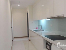 Cho thuê và chuyển nhượng căn hộ 1PN Vinhomes Central Park giá tốt mới cập nhập