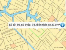 Bán lô đất ruộng DT:5133m2, Giá:550tr/1000m2(còn TL). Phước Lương, Phú Hữu, Nhơn Trạch, Đồng Nai.