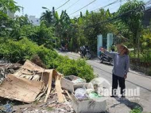 Cần Bán Gấp Lô Đất KDC Phú Mỹ Chợ Lớn, Phường Phú Mỹ, Quận 7