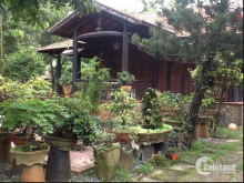Bán căn nhà vườn, Lê Vĩnh Huy, Củ Chi  629m2, ngang 14, Giá 2.8 tỷ Lh: 01272883348