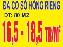 Đất mặt tiền Võ Văn Bích, Bình Mỹ, Củ Chi, LH 0932.079.964