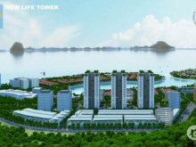 Bán và cho thuê căn hộ New Life Tower Hạ Long