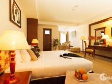 Sang khách sạn 28 phòng Tân Hải,Quận Tân Bình