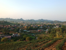 BÁN RẺ MẢNH ĐẤT MỘC CHÂU 2 MẶT TIỀN VIEW ĐỒI CHÈ THÍCH HỢP ĐẦU TƯ TĂNG GIÁ, HOMESTAY, NGHỈ DƯỠNG ...