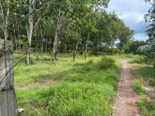 Cần Bán Đất Vị Trí Đẹp Tại Phú Lý, Vĩnh Cửu, Đồng Nai