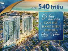 THE SAILING QUY NHƠN – TÔN VINH VẺ ĐẸP TP QUY NHƠN 