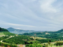 Tận hưởng cuộc sống xanh mua đất Nam Hà huyện Lâm Hà tỉnh Lâm Đồng