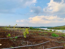 Cần bán 6 lô đất vườn nghỉ dưỡng tọa lạc kế hồ Đạ-Toong , xã Phúc Thọ ,huyện Lâm Hà, tỉnh Lâm Đồng