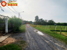 Bán đất đường Phạm Thị Chanh - 279m2 - 12x23 - 100m2 thổ cư - xã Phước Hiệp - Củ Chi