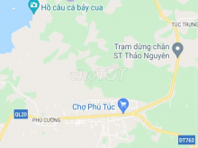 Bán râỹ điều đã trồng được 3 năm đang cho thu hoạch Xã Túc Trưng, Huyện Định Quán, Đồng Nai