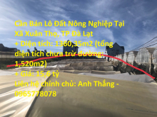 Cần Bán Lô Đất Nông Nghiệp Tại Xã Xuân Thọ, TP Đà Lạt