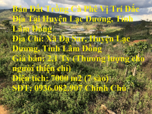 Bán Đất Trồng Cà Phê Vị Trí Đắc Địa Tại Huyện Lạc Dương, Tỉnh Lâm Đồng