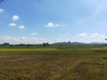 Chính chủ cần bán lô đất vị trí đẹp tại Đắk Lắk.