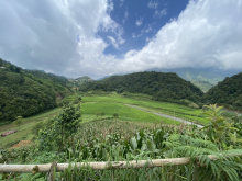 Tả Phìn -Sapa, siêu phẩm lô đất có suối và view tuyêt đẹp tại khu du lịch sinh thái đẹp nhất Sapa