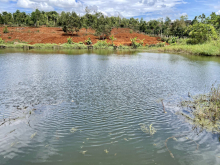 Chính chủ bán 4 sào view hồ tự nhiên tại Ea Đê, Krông Búk, Đắk Lắk. View hồ tự nhiên