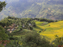 Mảnh đât giá rẻ nhất Sapa, gần bến xe mới, view thung lũng đẹp nhất Tả Phìn- đón Sân bay Sapa