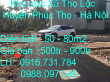 Bán các lô đất chính chủ khu vực Phúc Thọ - Hà Nội