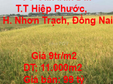 Chính chủ Cần bán Đất trồng lúa ở Thị trấn Hiệp Phước, Huyện Nhơn Trạch, Đồng Nai