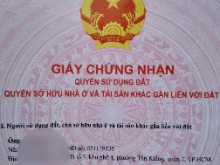 Chính chủ bán gấp nhà đẹp Trần Xuân Soạn, Quận 7 giá tốt