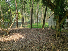 Diện tích 5.139m2 có 400m2 đất ở, còn lại đất vườn tại Lương Sơn, Hòa Bình