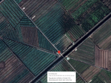 Bán lô đất vườn 6969m2 (ngang 96m) xã Thạnh Hòa, cách Đường Bà Kiểng 1,3km Giá 4,4 tỷ đồng