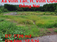 Chính chủ bán đất mặt tiền Đường Liên Xã Vĩnh Tân - Trị An, Xã Vĩnh Tân, Huyện Vĩnh Cửu, Đồng Nai