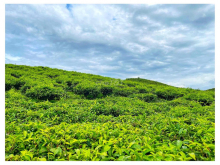 Bán đất farmstay đẹp săn mây  có sẵn thổ cư để xây dựng gần Linh Quy Pháp Ấn , Thiền Viện Linh Sơn