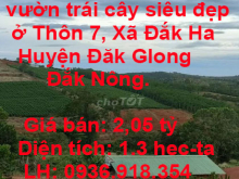 Chính chủ bán gấp đất vườn trái cây siêu đẹp ở Thôn 7, Xã Đắk Ha, Huyện Đăk Glong, Đắk Nông