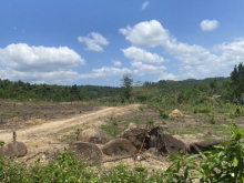 [360 TRIỆU] [917,95m2] HUYỆN KHÁNH VĨNH, TỈNH KHÁNH HÒA [KHÁNH ĐÔNG]